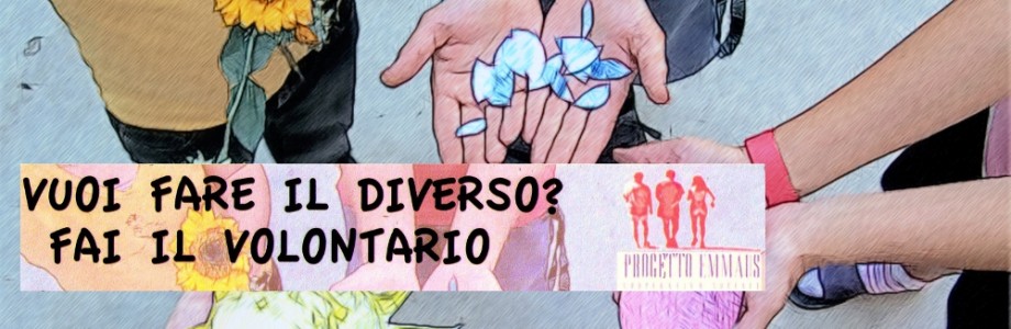 volontariato last2 volontariato last2