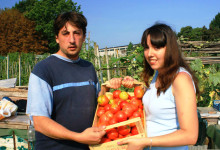 Pomodori nostrani!