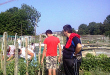 Orto (5)