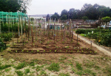 Orto (1)