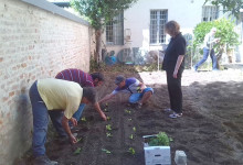 Orto 2014(1)