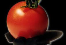 pomodoro