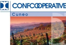 confc-cuneo
