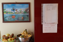IMG-20210308-WA0007