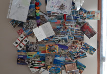 IMG-20210308-WA0009