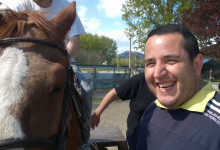 horse