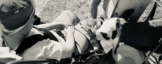 “RIMANGO OGNI GIORNO INCANTATA DA TANTISSIME COSE”: IL SOGGIORNO ESTIVO DI CASA MARIA ROSA