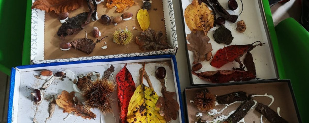 SE I BAMBINI VENGONO CONSIDERATI SAGGI, LA NATURA INSEGNANTE: GIUNGE AL TERMINE “TI SPIEGO IO IL BOSCO”