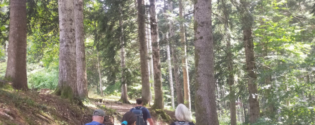 LE NOSTRE GIORNATE IN MONTAGNA: “MOMENTI IN CUI IL BENESSERE SI COSTRUISCE PASSO DOPO PASSO, INSIEME”