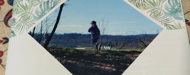 LA SCUOLA DI GRANDE ALBERO FELICE: UNA STORIA SOCIALE PER ACCOMPAGNARE LA CHIUSURA DELL’ASILO DI MUSSOTTO