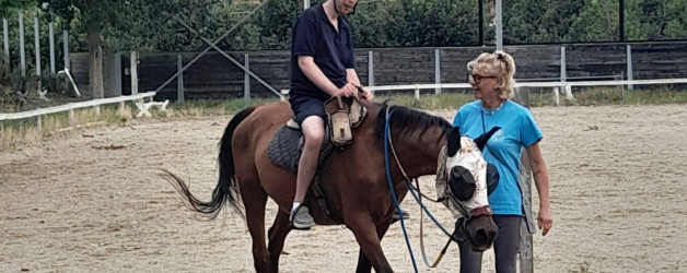 LA SAGGEZZA DEL CAVALLO
