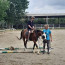 LA SAGGEZZA DEL CAVALLO